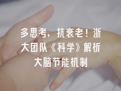 多思考，抗衰老！浙大团队《科学》解析大脑节能机制