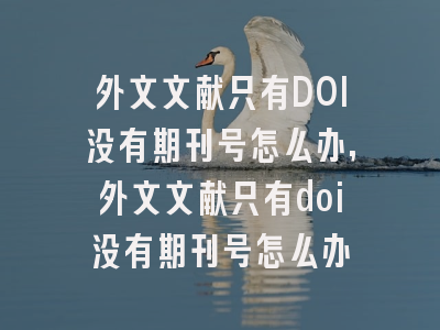 外文文献只有DOI没有期刊号怎么办,外文文献只有doi没有期刊号怎么办