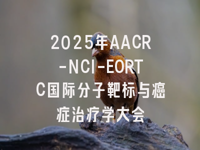 2025年AACR-NCI-EORTC国际分子靶标与癌症治疗学大会