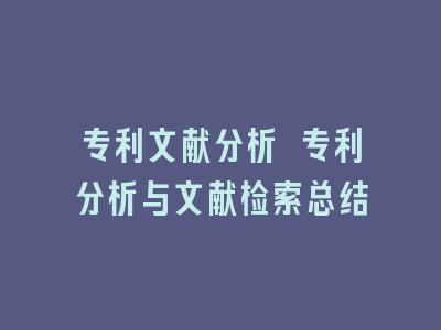 专利文献分析 专利分析与文献检索总结