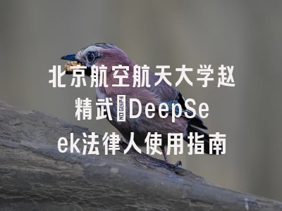 北京航空航天大学赵精武：DeepSeek法律人使用指南