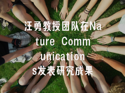 汪勇教授团队在Nature Communications发表研究成果