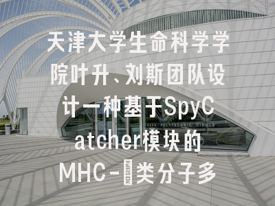 天津大学生命科学学院叶升、刘斯团队设计一种基于SpyCatcher模块的MHC-Ⅰ类分子多聚体