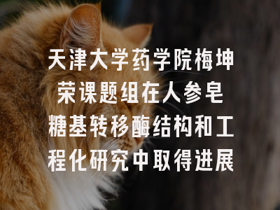 天津大学药学院梅坤荣课题组在人参皂苷糖基转移酶结构和工程化研究中取得进展