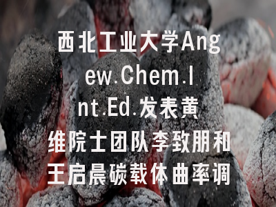 西北工业大学Angew.Chem.Int.Ed.发表黄维院士团队李致朋和王启晨碳载体曲率调控Fe-N-C单原子催化剂用于锌电池的研究