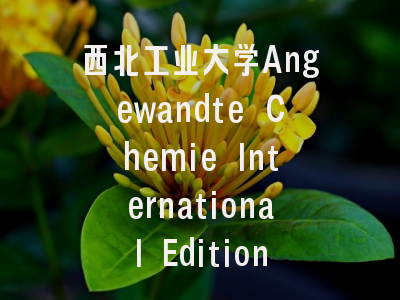 西北工业大学Angewandte Chemie International Edition发表黄维院士团队艾伟教授课题组基于熔盐级联反应合成富异质界面纳米阵列电极