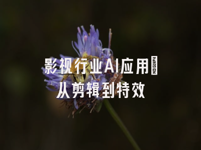 影视行业AI应用：从剪辑到特效