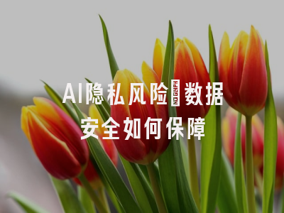 AI隐私风险：数据安全如何保障