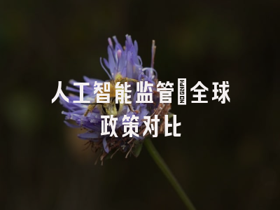 人工智能监管：全球政策对比