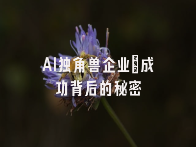 AI独角兽企业：成功背后的秘密