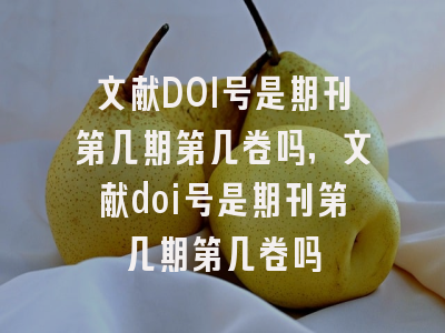 文献DOI号是期刊第几期第几卷吗,文献doi号是期刊第几期第几卷吗