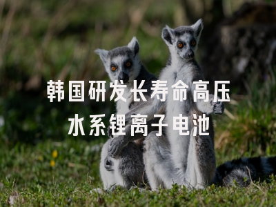 韩国研发长寿命高压水系锂离子电池