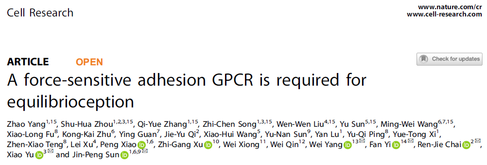 山东大学开辟新领域，山大团队发现GPCR作为平衡受体