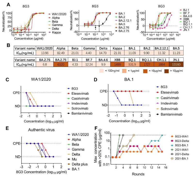 上海交大教育部抗体中心成功应用AI实现临床试验候选药物活性精准优化