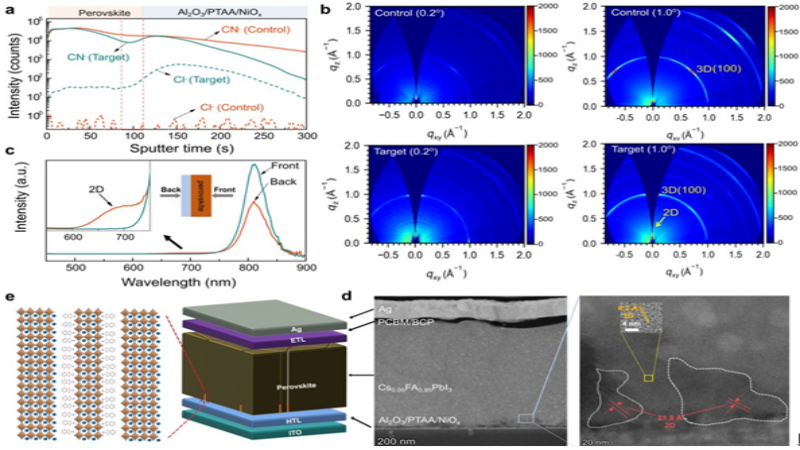 重庆大学光电工程学院臧志刚教授和陈江照研究员在《Nature Energy》发表研究论文