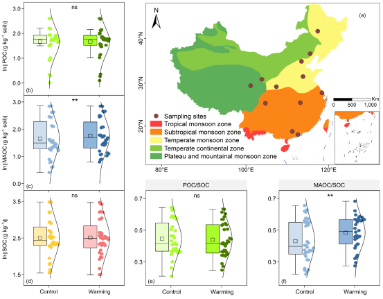 北京师范大学北师大环境学院夏星辉教授团队在Nature Communications发文揭示增温对不同土壤有机碳组分含量和温度敏感性的影响