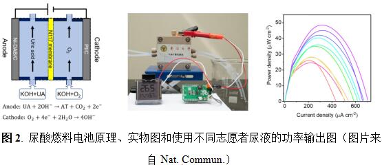 东南大学张袁健团队在纳米酶特异性催化机制研究方面取得重要进展