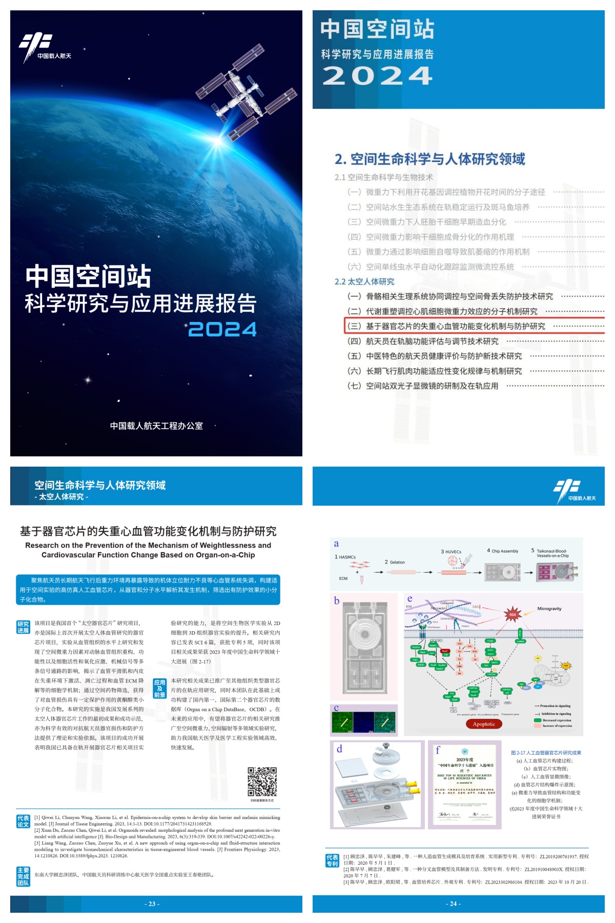 东南大学顾忠泽、陈早早团队研究成果入选太空人体研究七大进展