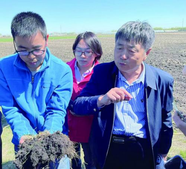 青春扎根黑土地 协力创新保粮仓