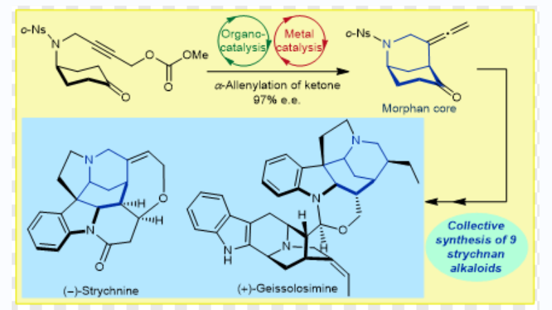 重庆大学重庆大学药学院和化学化工学院在《自然·化学》 （Nature Chemistry）合作发表研究成果