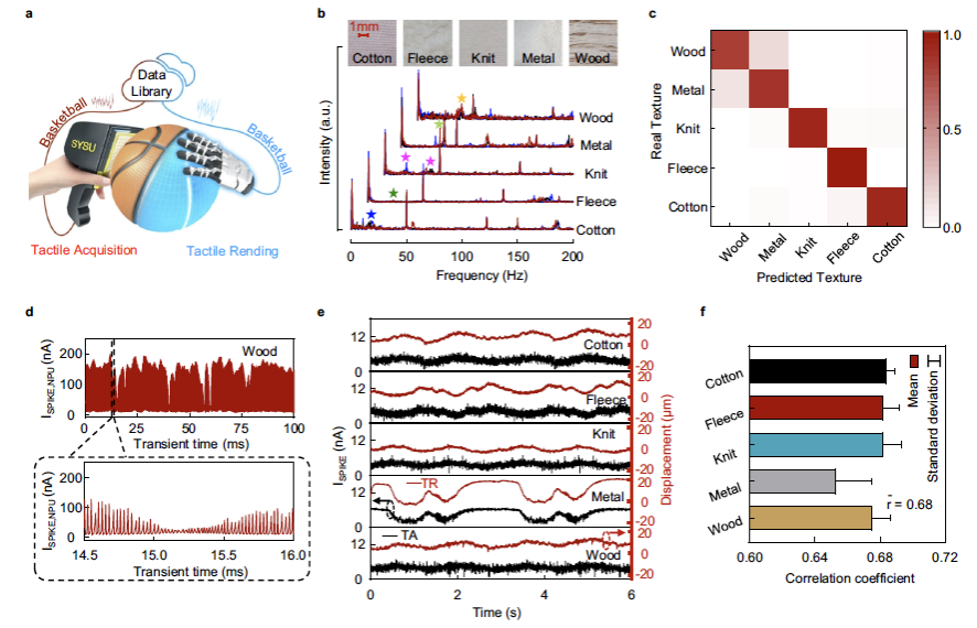 中山大学王凯教授课题组在神经形态机器触觉传感器的研究工作中取得重要进展