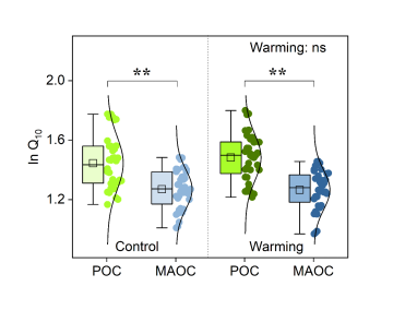 北京师范大学北师大环境学院夏星辉教授团队在Nature Communications发文揭示增温对不同土壤有机碳组分含量和温度敏感性的影响