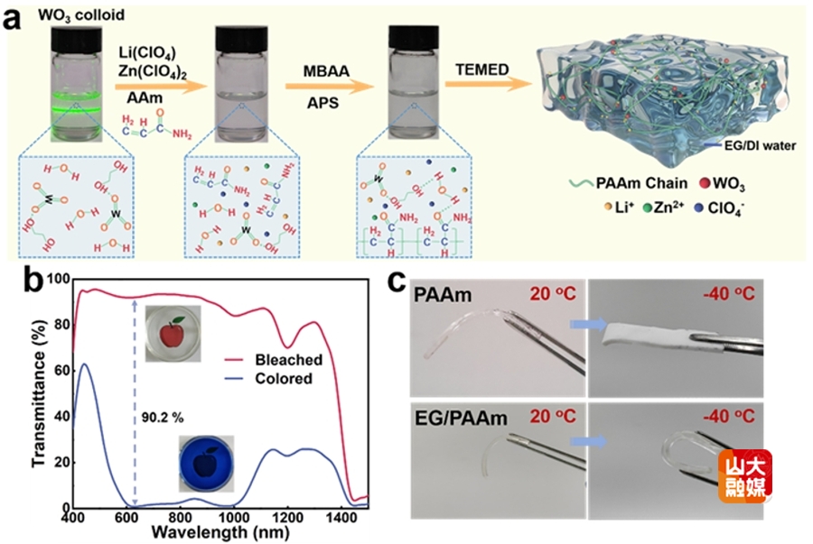 山东大学于伟泳教授团队在光电双响应高对比度调光器方面取得新进展
