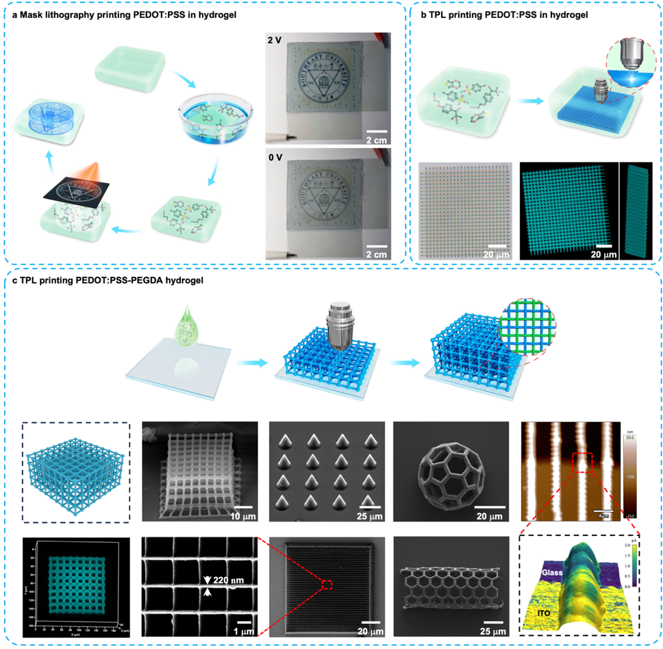 东南大学顾忠泽课题组在Nature Synthesis发表导电聚合物光聚合与3D打印技术最新研究成果