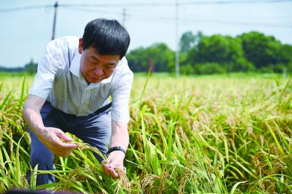 李家洋：国家需求植根于我的思想深处