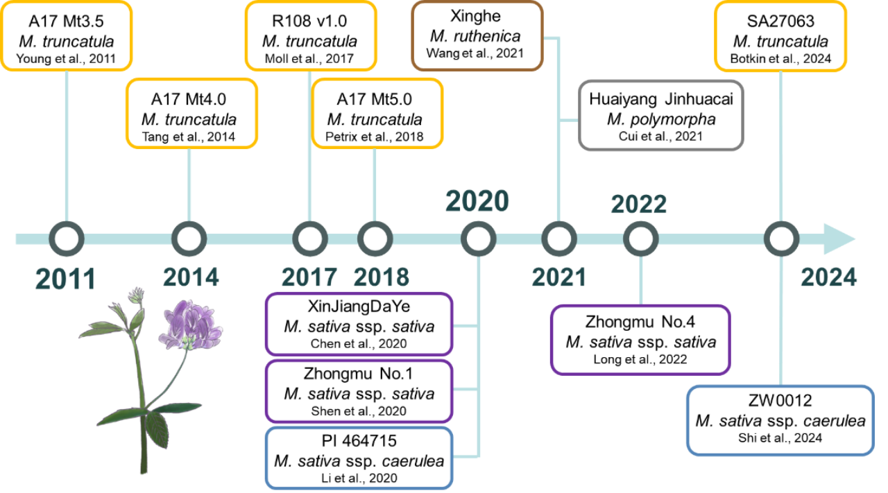 中国农业大学 | 生物学院王涛团队应邀联合国内外学者展望苜蓿2035