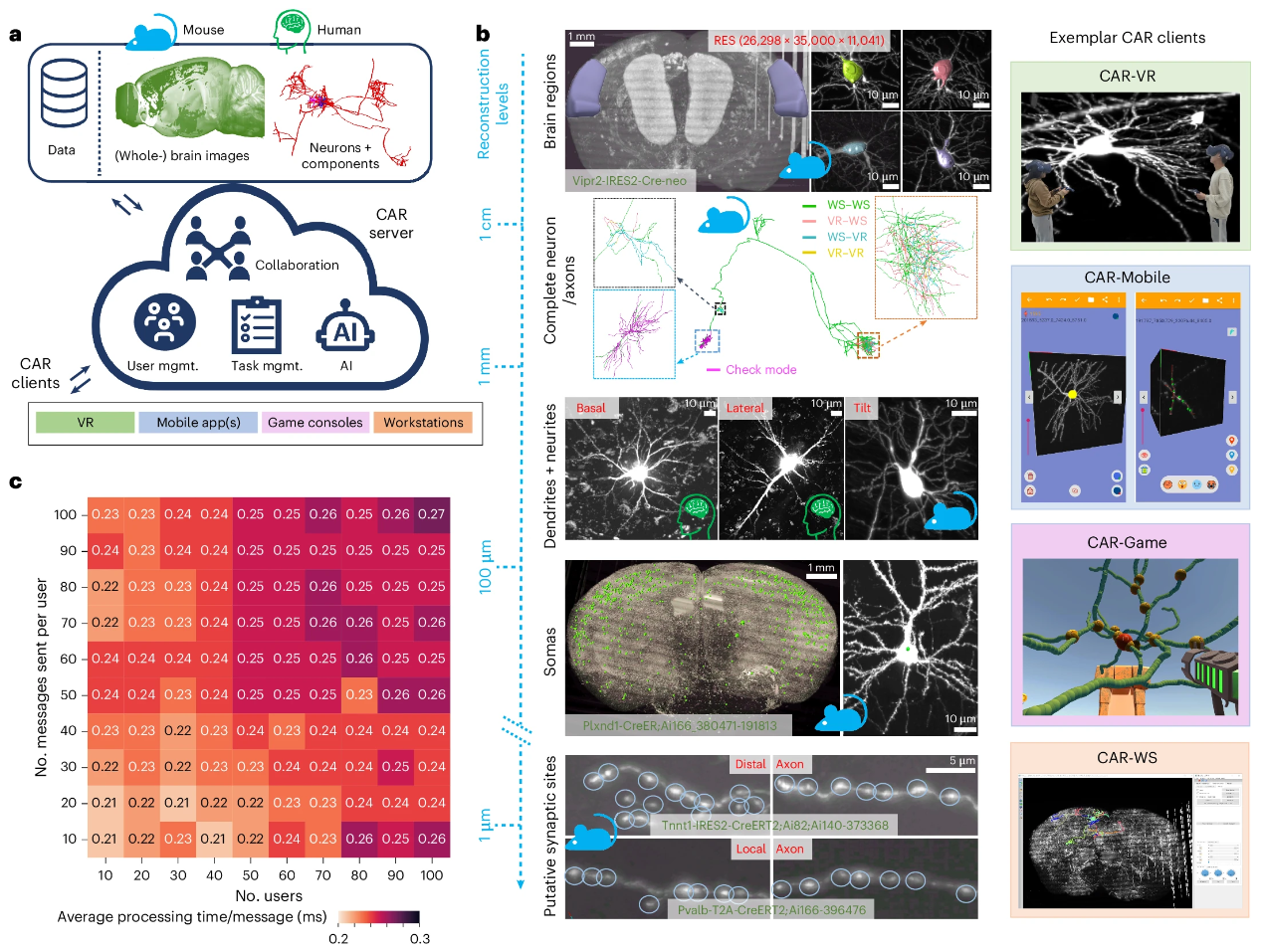 东南大学彭汉川团队最新开发成果协作增强重建（CAR）平台发表在《Nature Methods》