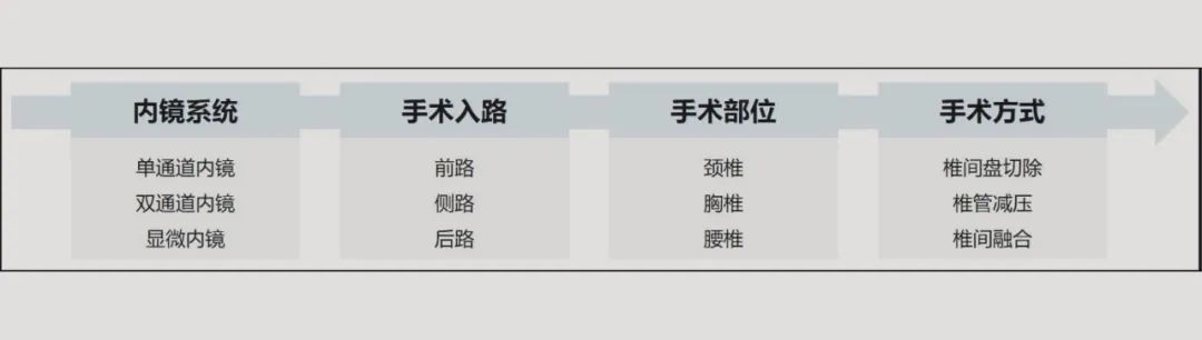 中山大学戎利民教授牵头制订国内首个《脊柱内镜手术规范化命名的中国专家共识》，创建相关手术中文命名原则