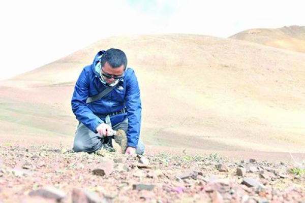 “喜马拉雅小黑哥”：在世界之巅守护雪域精灵