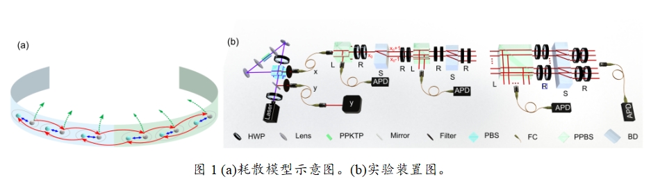 ​东南大学肖磊教授、薛鹏教授团队在《Physical Review Letters》发表最新研究成果