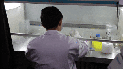 星光不负赶路人：农学院科研团队年内在自然指数期刊上发表15篇重要研究成果