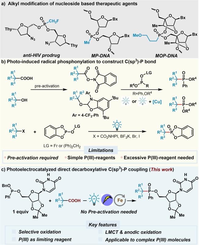 上海交大商明团队发文：直接脱羧C(sp3)-P偶联实现核苷亚膦酸酯烷基化修饰