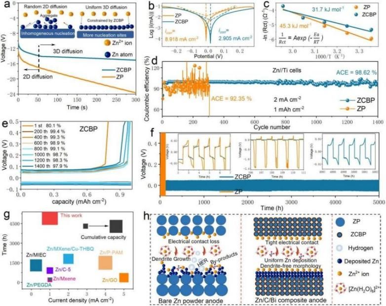 电子科技大学材料学院刘兴泉教授团队在Angewandte Chemie International Edition报道一种三层高尔夫型复合阳极用于超长寿命的锌锰水系电池
