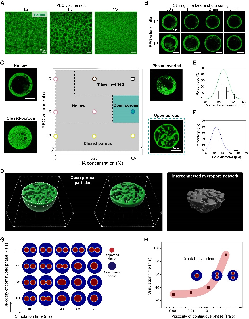 北京航空航天大学《Biomaterials》刊发北航樊瑜波教授团队最新成果：水凝胶微孔结构精准调控实现无疤痕皮肤再生