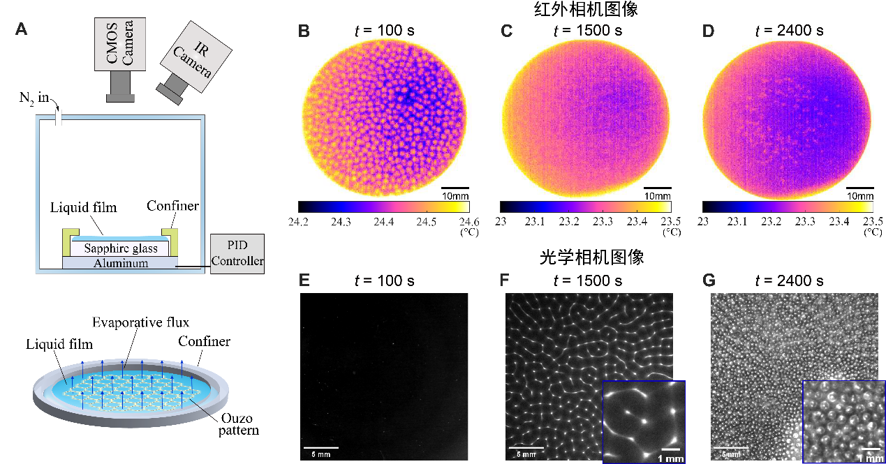 清华大学能动系孙超课题组合作揭示多组分液膜蒸发过程中热质耦合双重失稳机制