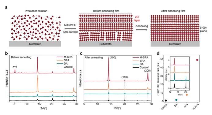 南京大学谭海仁教授团队发文报道全钙钛矿叠层太阳能电池新进展
