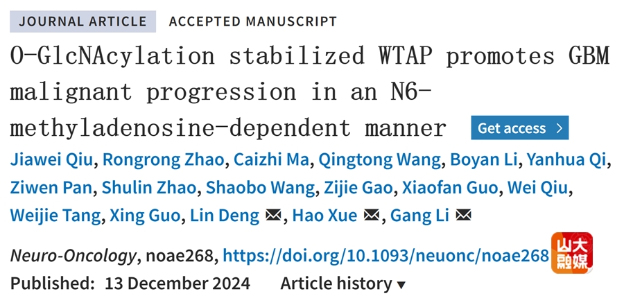山东大学齐鲁医院李刚/薛皓团队发文揭示m6A甲基转移酶WTAP促进胶质母细胞瘤恶性进展新机制