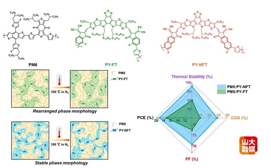 山东大学高珂教授课题组在Adv. Mater.、Angew. Chem. Int. Ed.等期刊发表系列成果