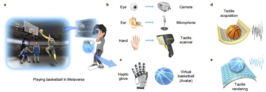 中山大学王凯教授课题组在神经形态机器触觉传感器的研究工作中取得重要进展