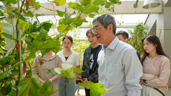 陈晓亚：与植物相伴40年