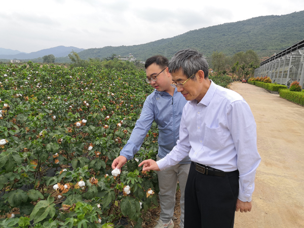 陈晓亚：与植物相伴40年