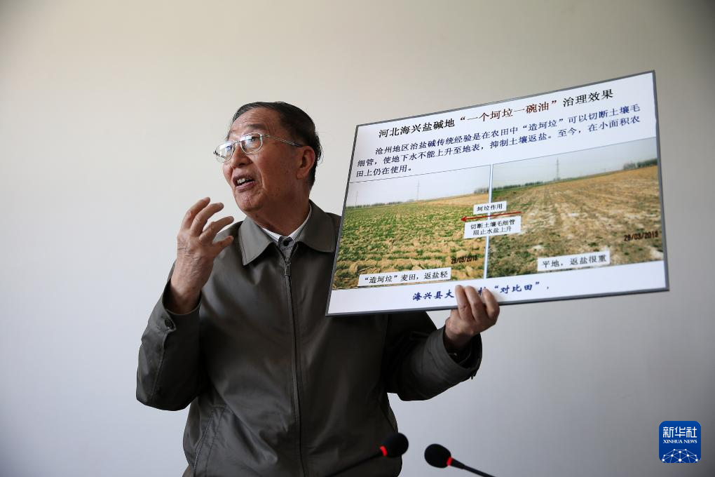国家勋章和国家荣誉称号获得者｜李振声：矢志攻关 筑牢大国粮仓