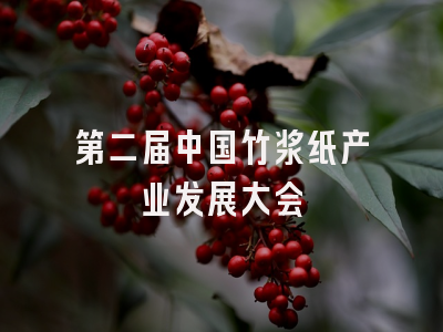 第二届中国竹浆纸产业发展大会