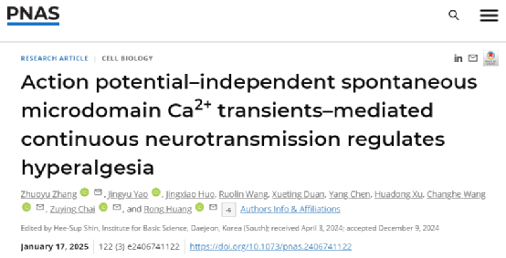 西安交大科研团队揭示 TRPA1通道的自发开放促进外周向脊髓中枢的信号传递并调控慢性疼痛新机制