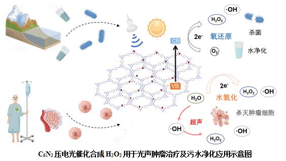 东南大学张袁健团队在双氧水光合成研究中取得新进展