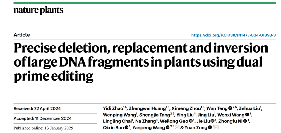 中国农业大学Nature Plants发表小麦研究中心与合作者关于植物大片段DNA操纵和染色体编辑领域的重要进展